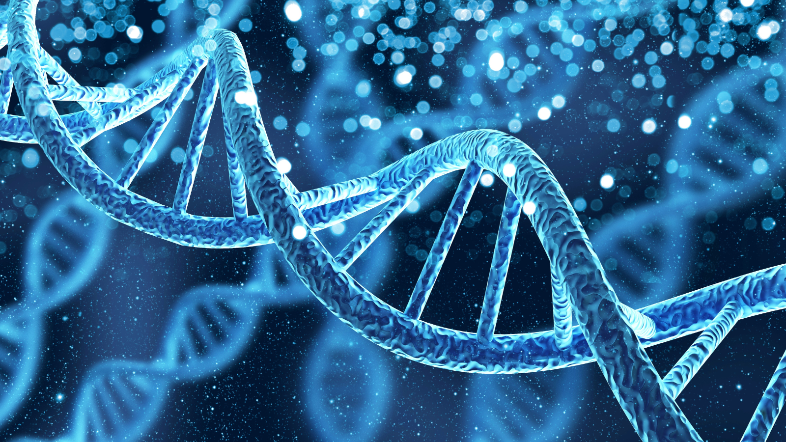 ‘Gene editing’ free for all spell problems for sustainable food production