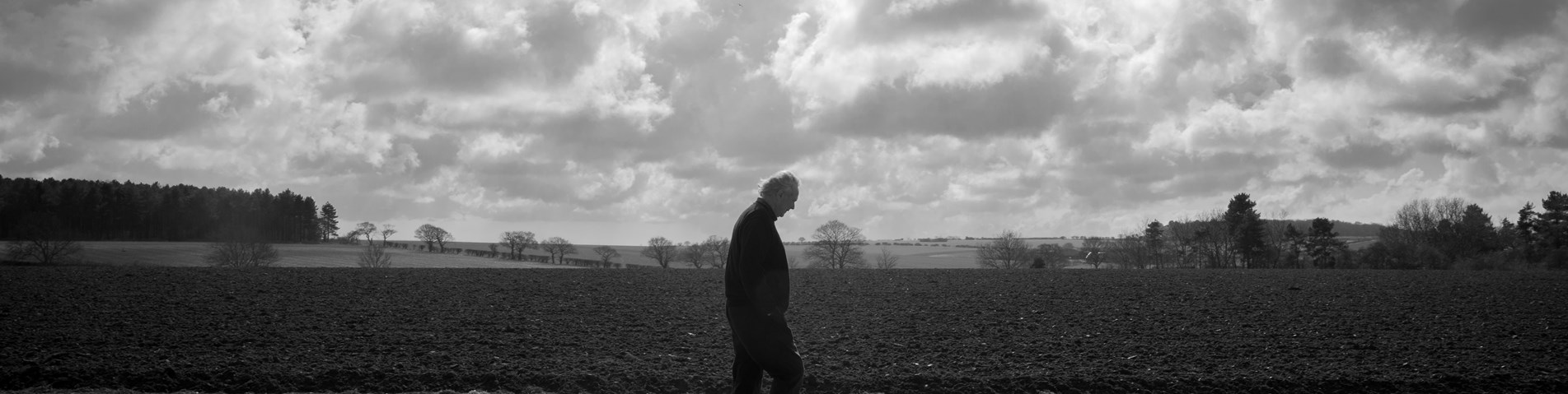 peter-102-Peter Melchett walking in a field-organic-Courtyard Farm-noexpiry-credit Georgina Rose Thomas.jpg