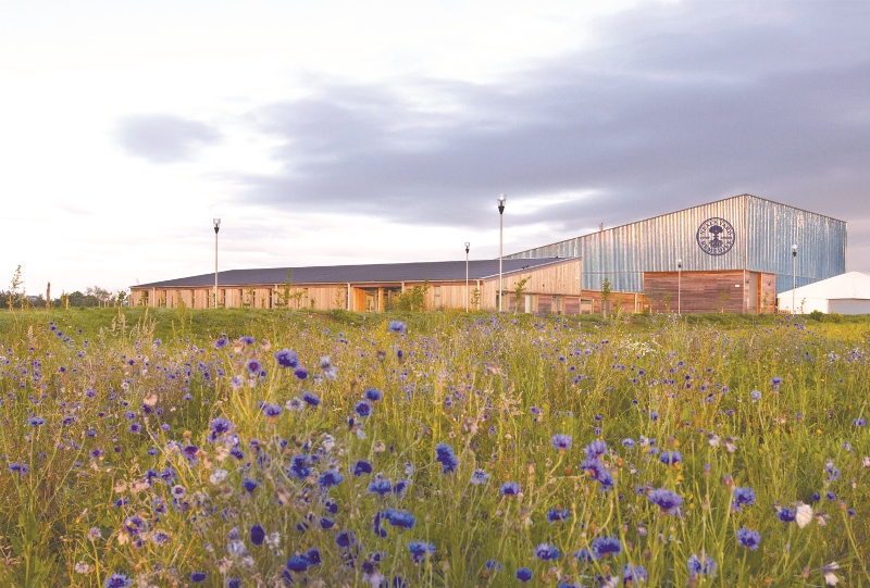 Neals Yard HQ building