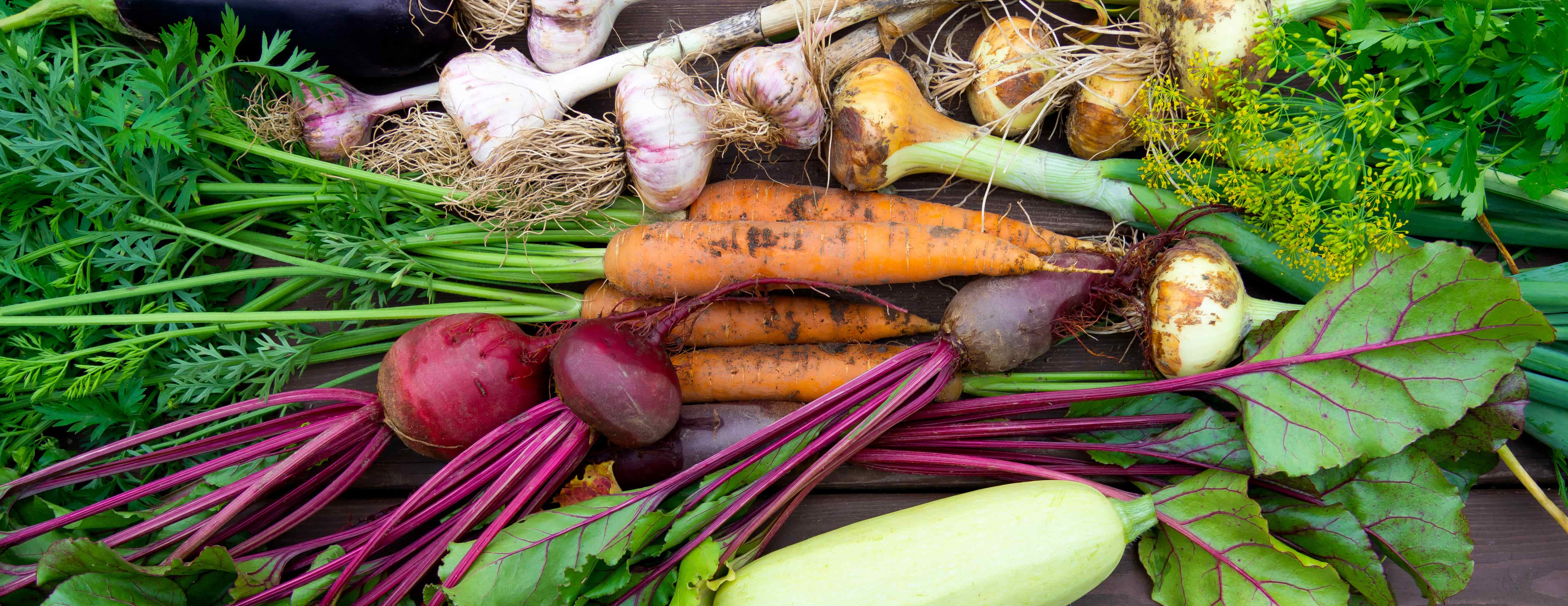 Standing up for sustainable fruit and veg – Soil Association in parliament