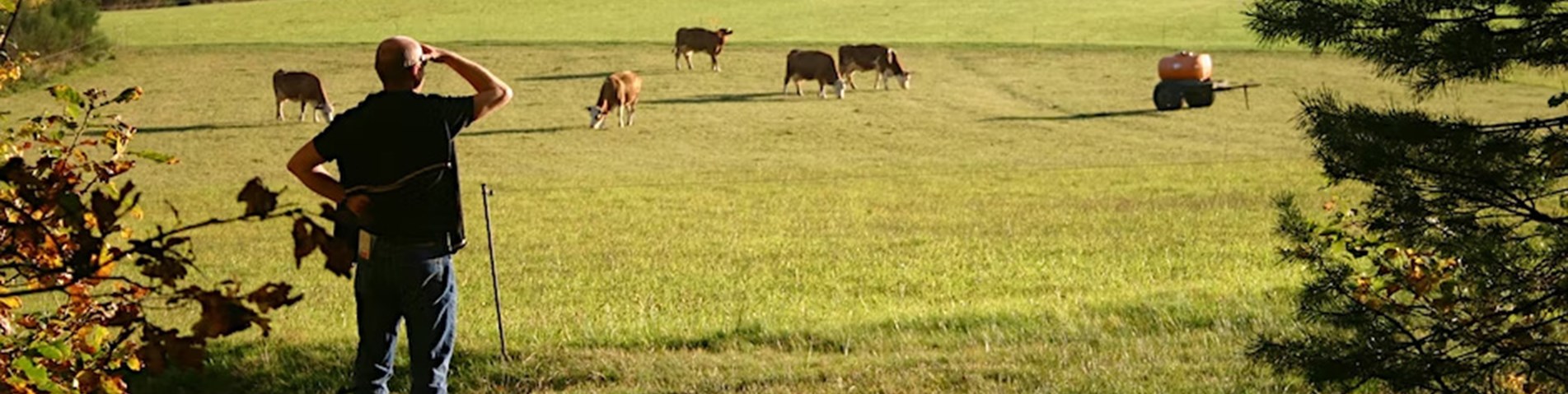 SoilAssoc-FFR-plain pic.jpg