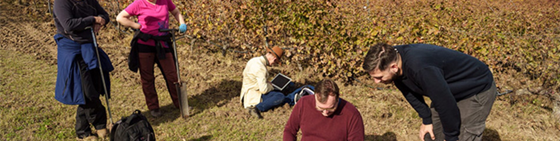 AI4soil health-banner pic2.JPG