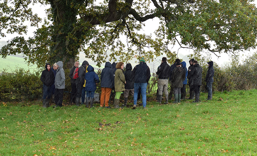 Farm walk in the rain!