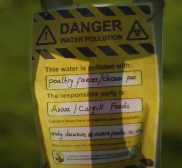 The UK rivers at risk from chicken industry boom (2)