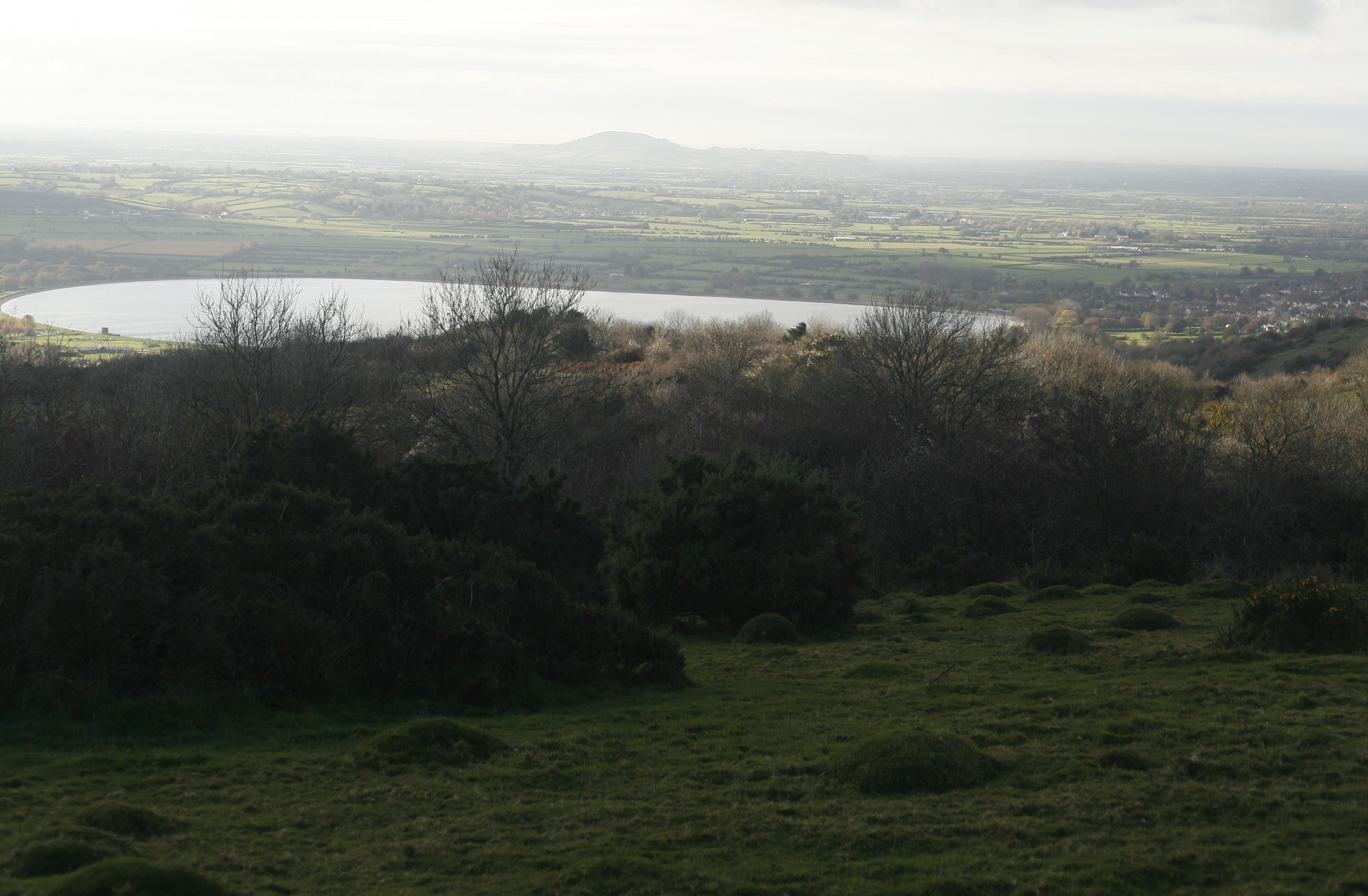 Nature degradation could cause a 12 percent loss to UK GDP