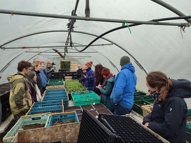 Darroch nurseries 3