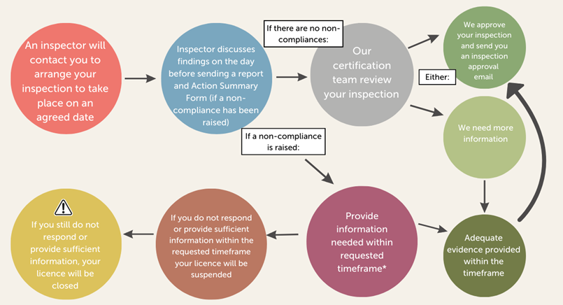 inspection process