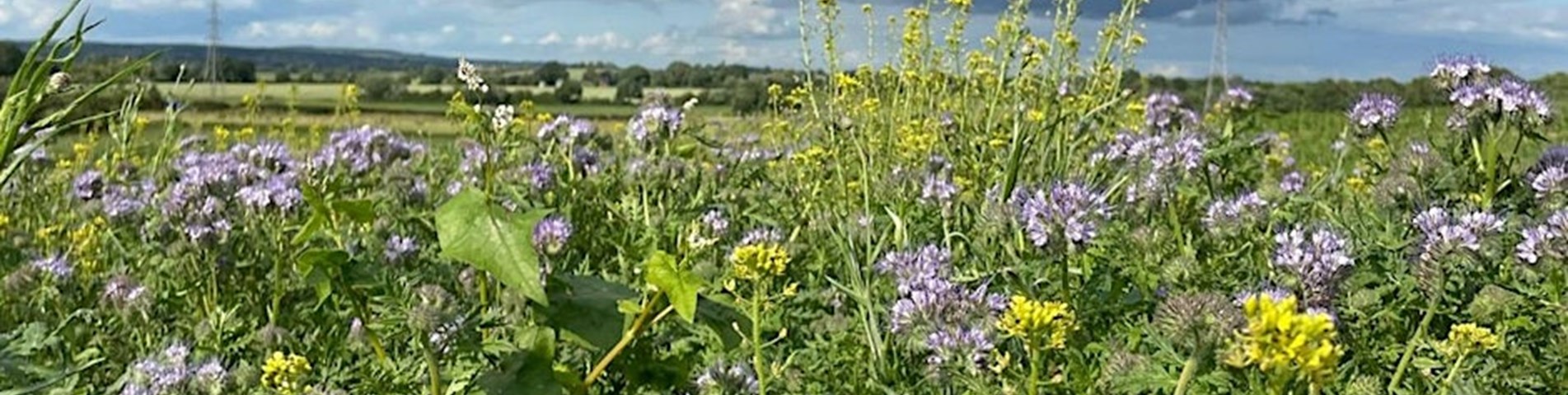 soil assoc-field hall farm.jpg