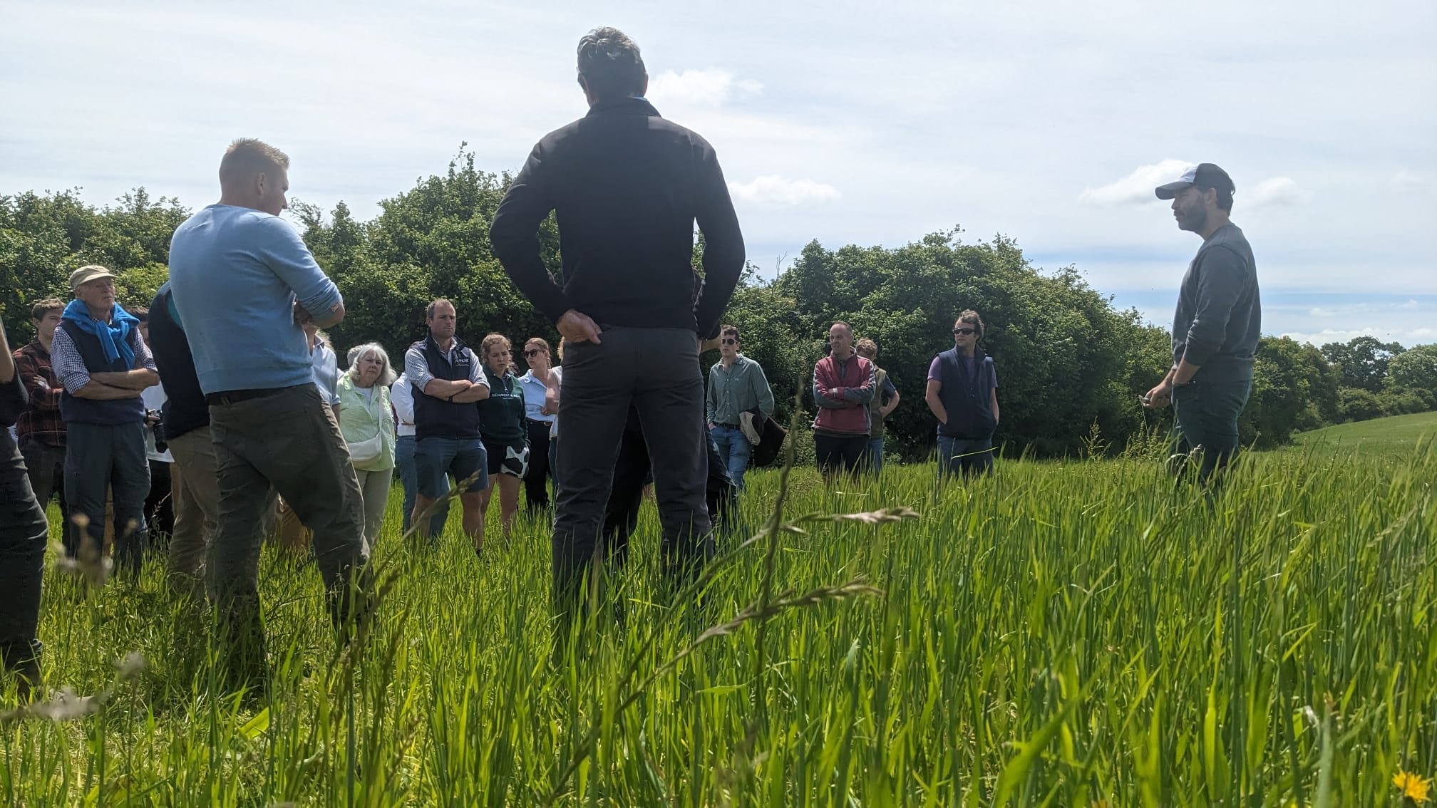 Soil-Assoc-Agroecology-Godminster June 24_barley.jpg