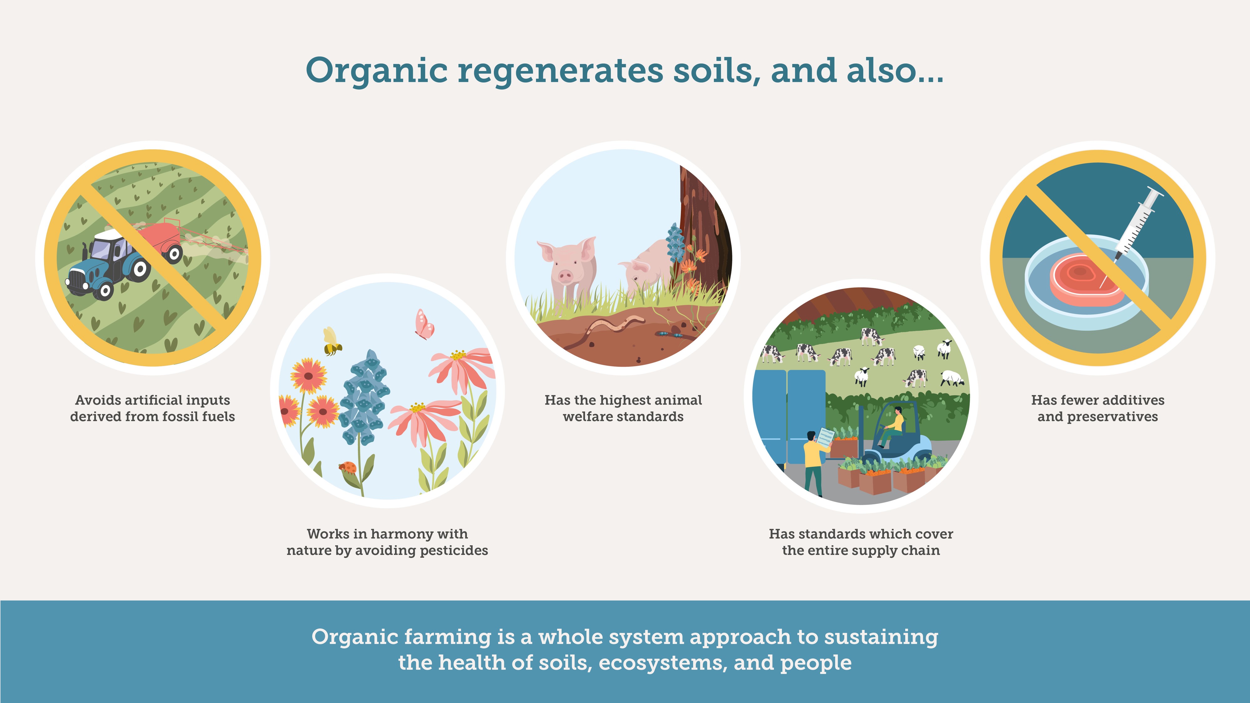 Organic regenerates soil