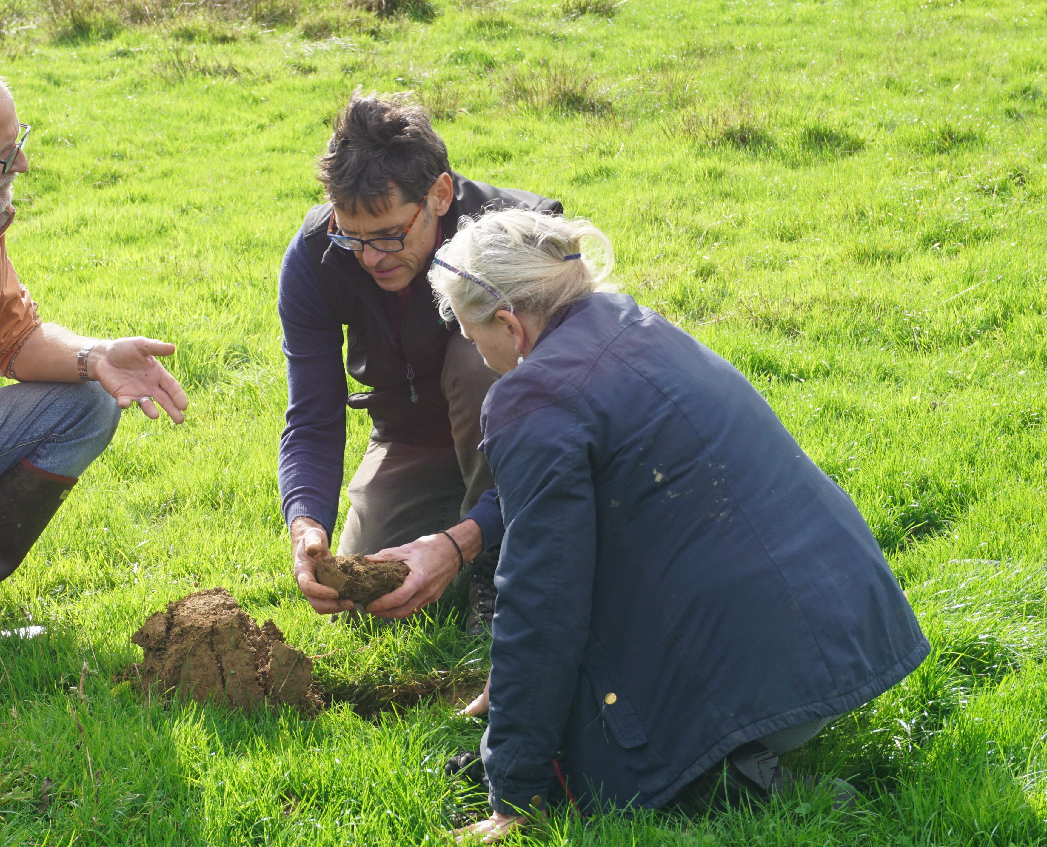 Costly nitrogen pollution can be tackled by farmers adopting organic practices, Lords told (1)