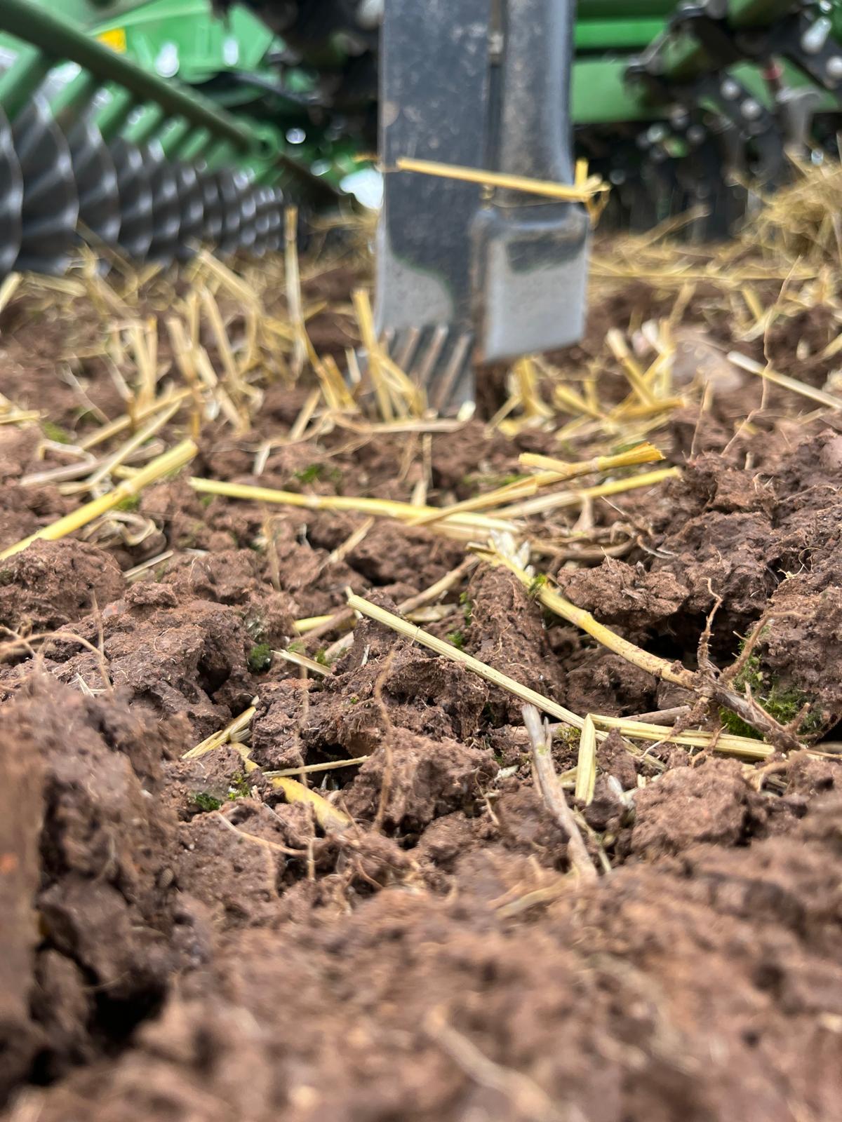 WhatsApp Image 2025-06-17 at 14.31.38_2689a8f3.jpg