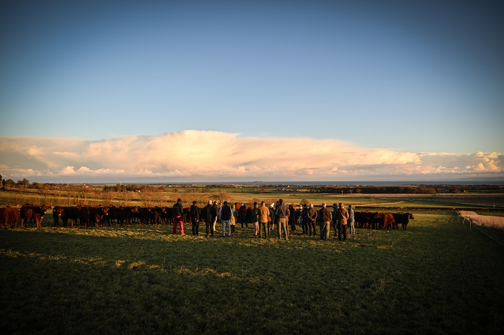 Success of first Soil Association Scotland Organic Gathering