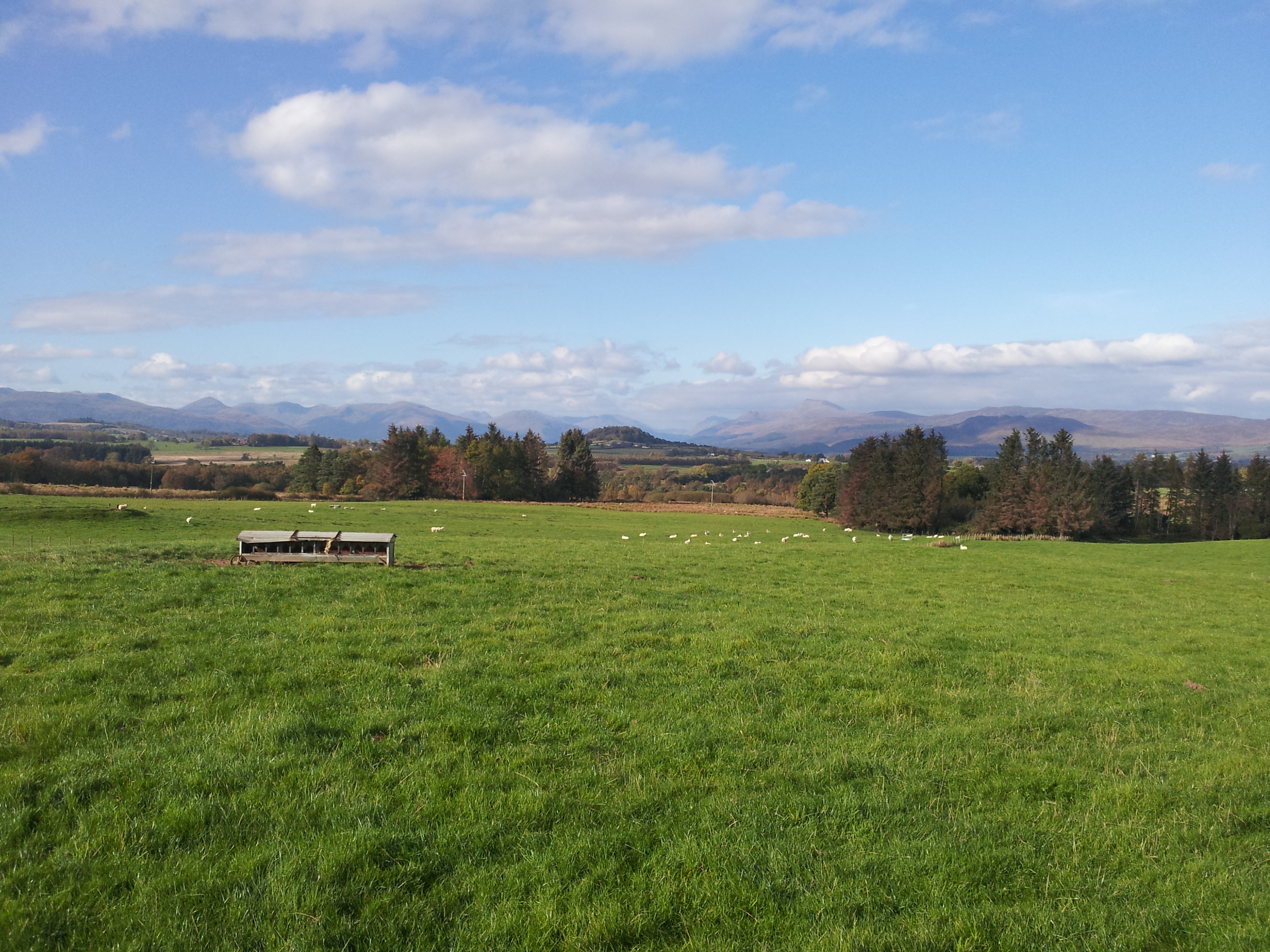 Updates on farming and processing in Northern Ireland standards consultation