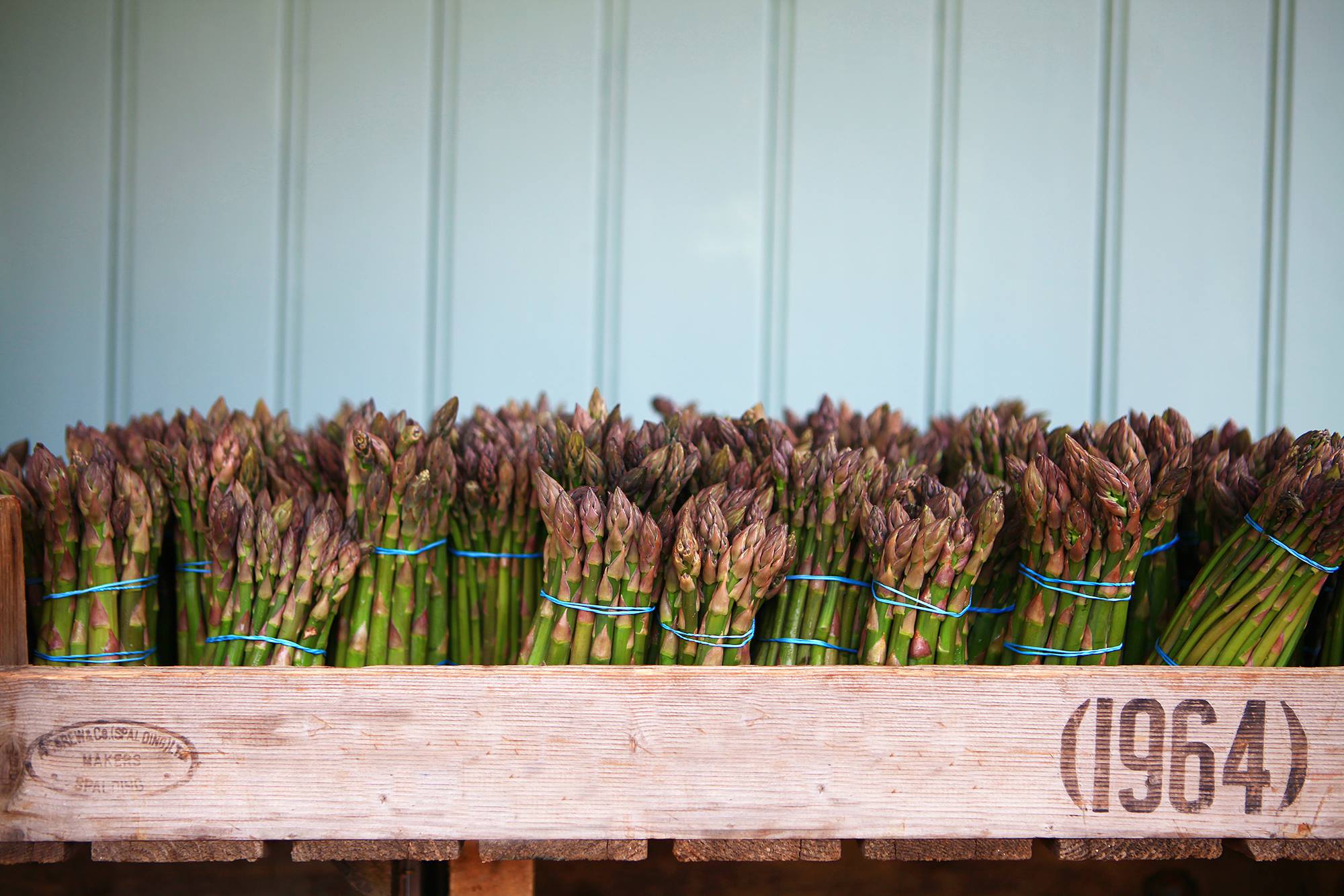Healthy and sustainable food for all