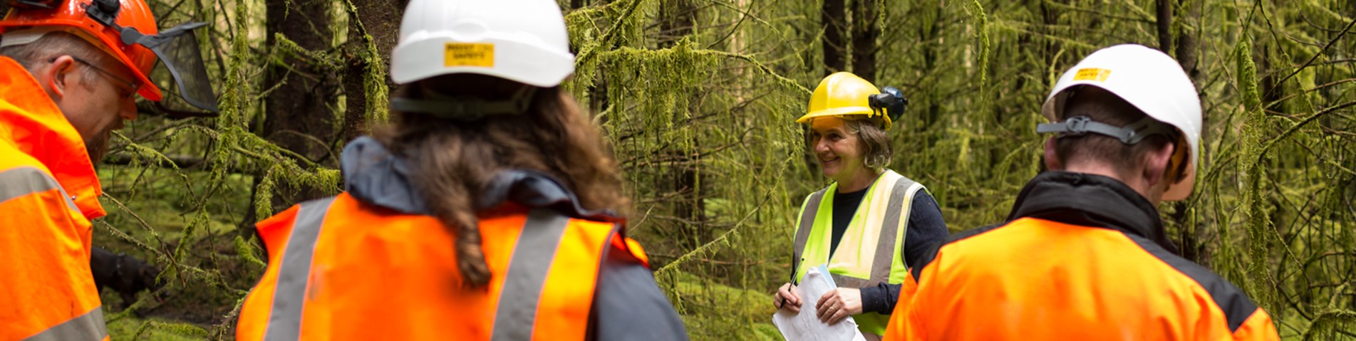 SA_ForestryAudit2015.09-131.jpg