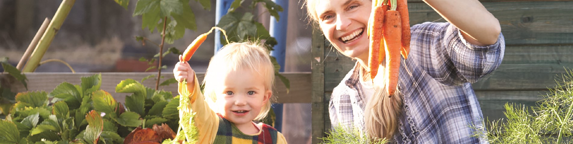 AdobeStock_35748333-women working allotment with child