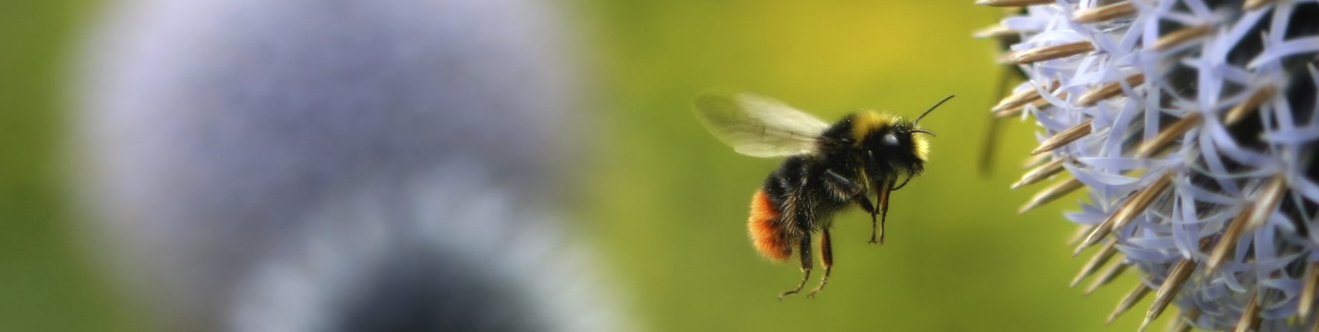 iStock_000000745159_Medium.jpg