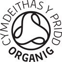 Welsh SA Logo