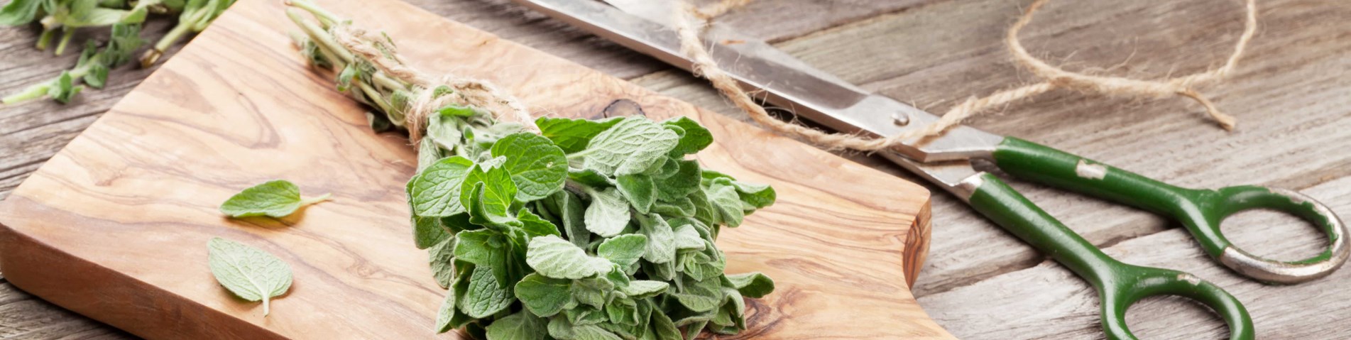bunch of herbs on chopping board.jpg