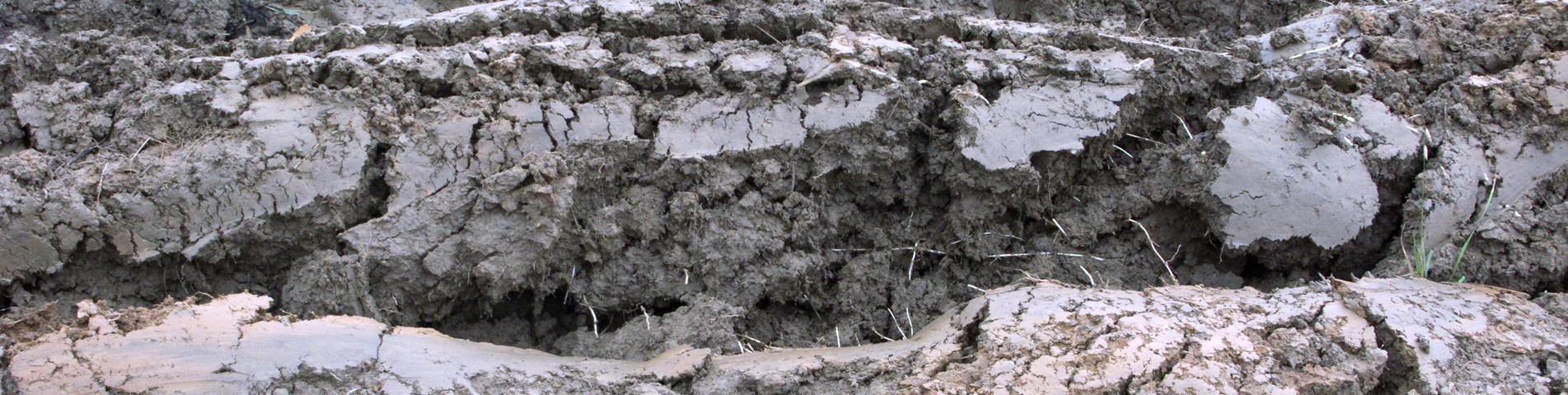 Wet and broken soil.jpg