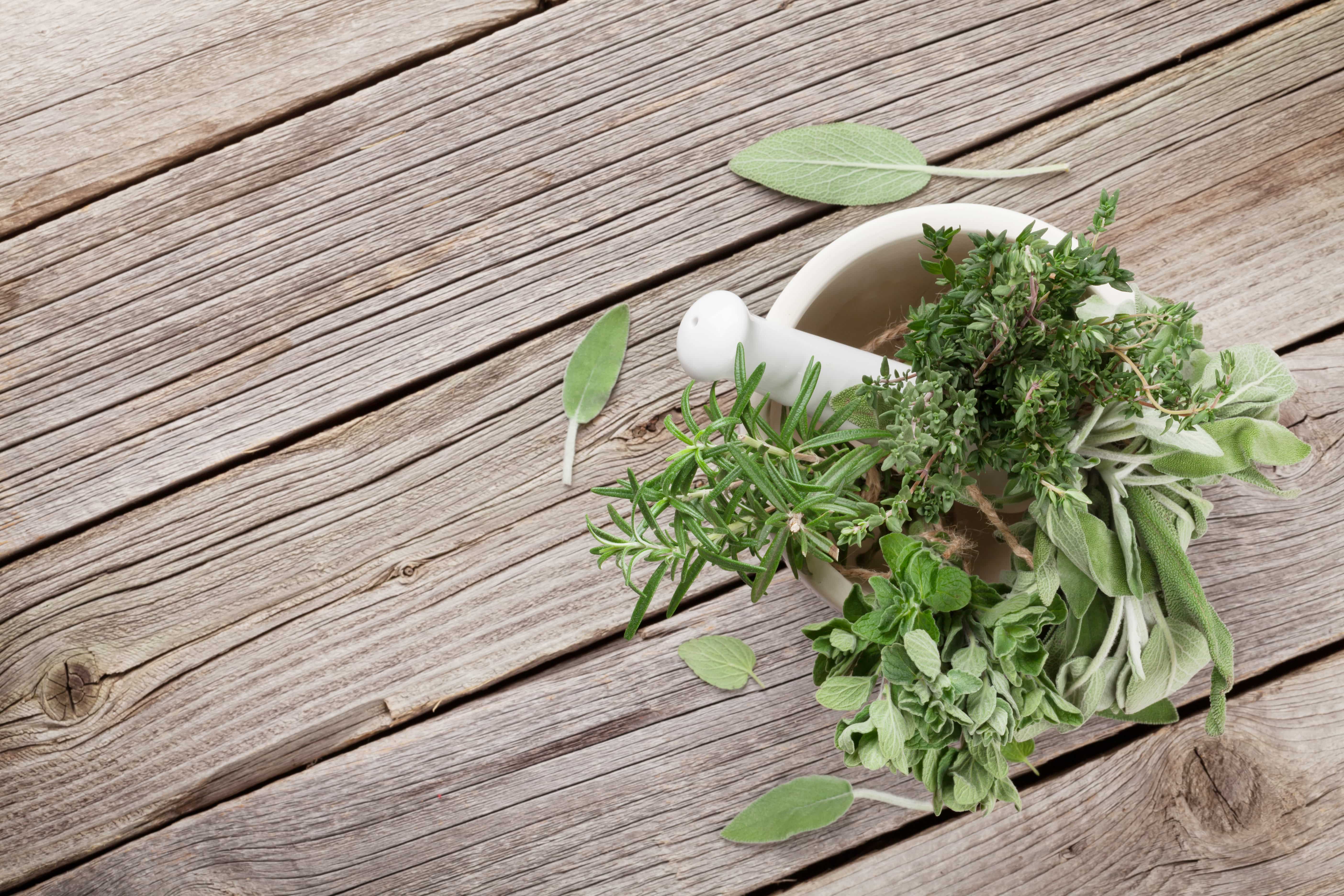 How to grow herbs from cuttings