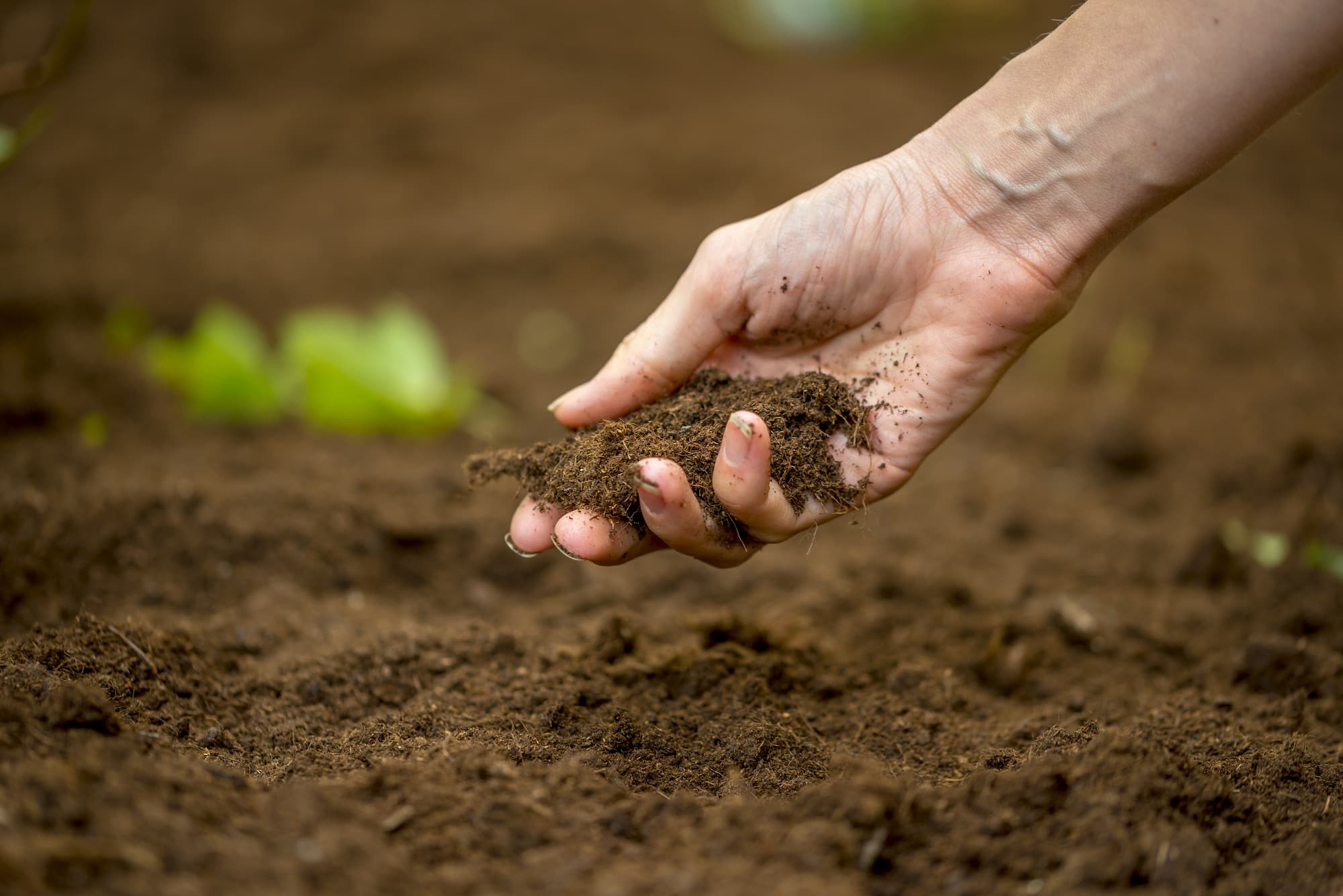 10 soil facts