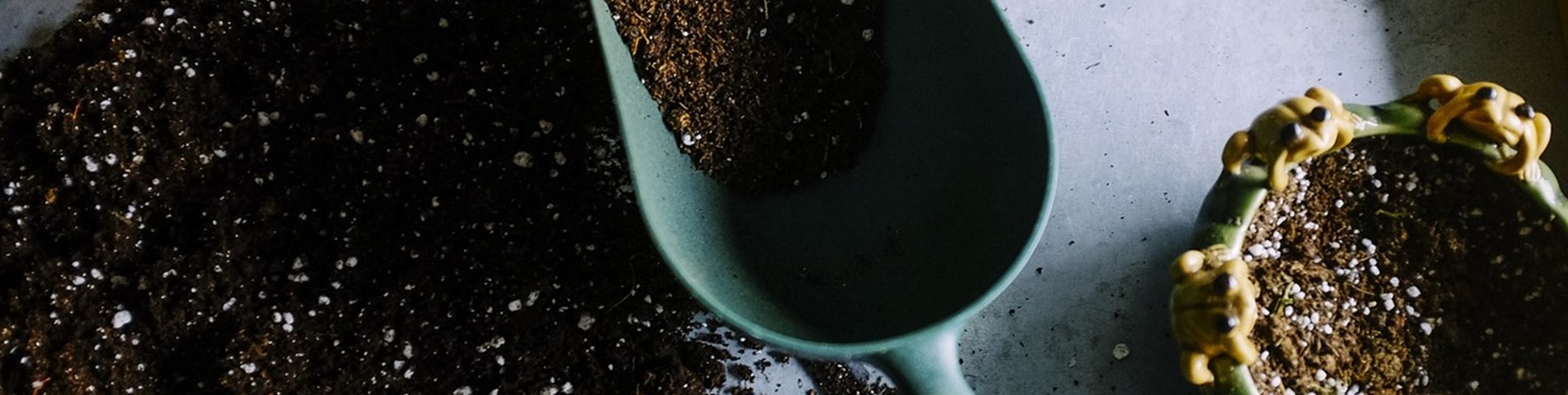 gardening-690940_1280.jpg