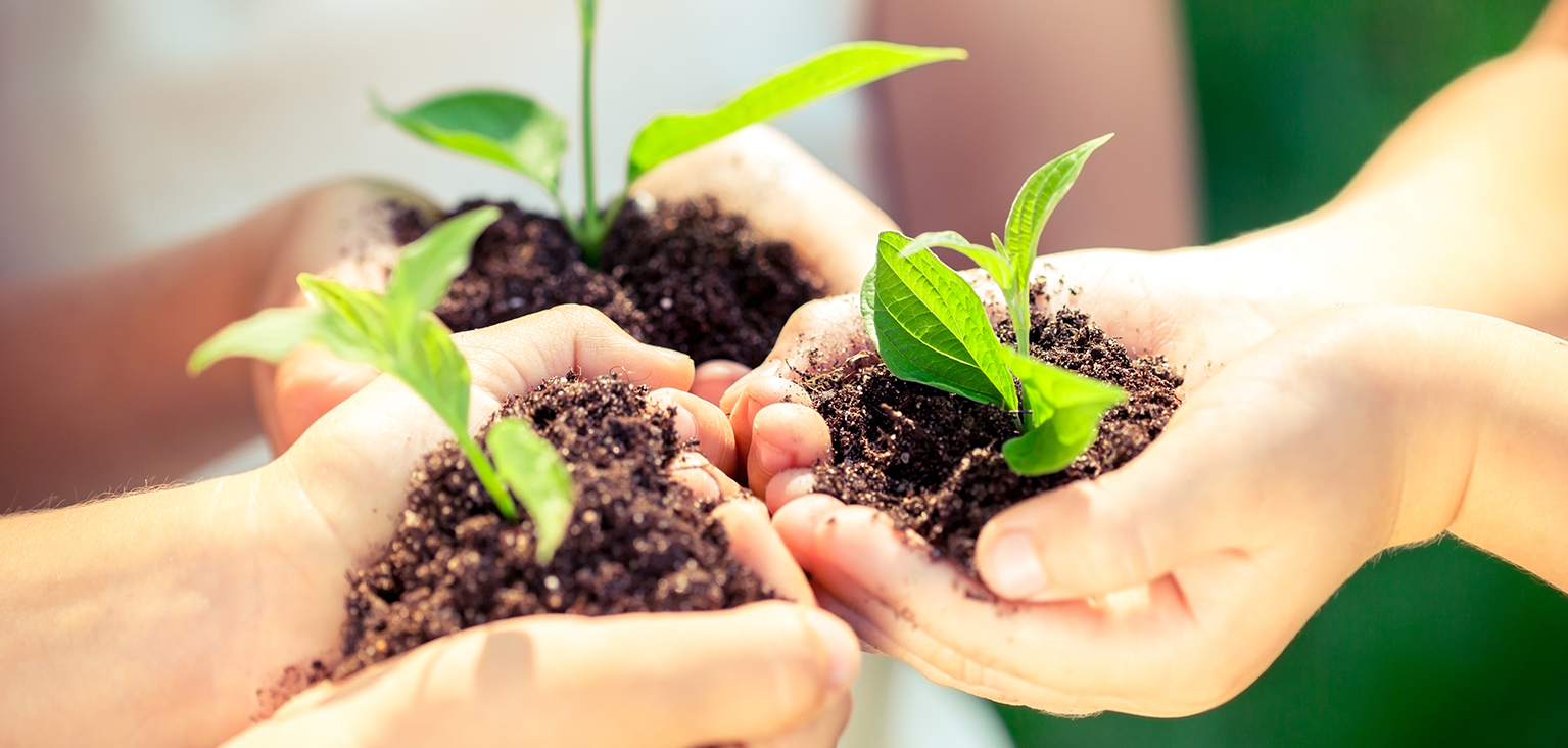 Save our soil